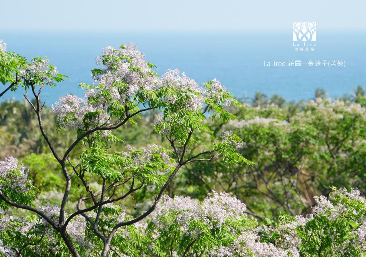 Апартаменты La Tree 普椿農場木子莊園 Тонхэ Экстерьер фото
